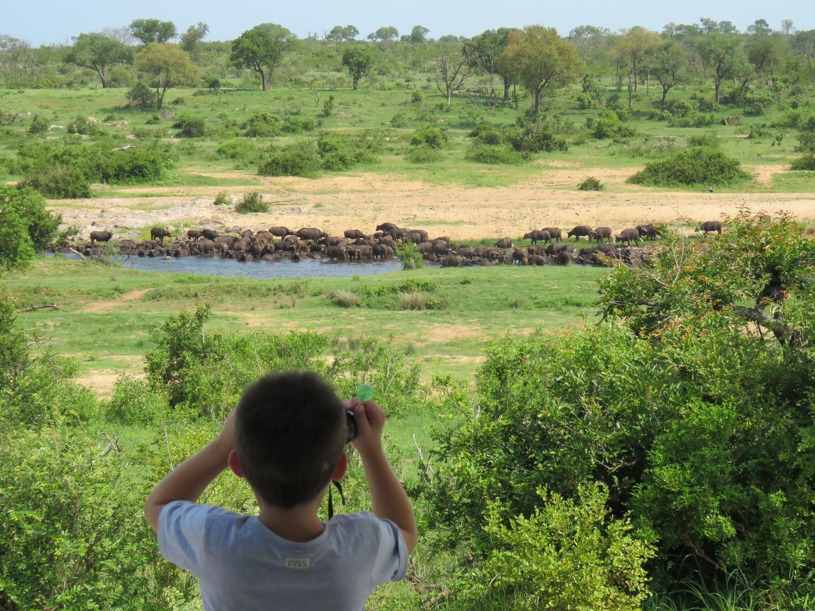 3 Days Tanzania Safari and Adventure Tour