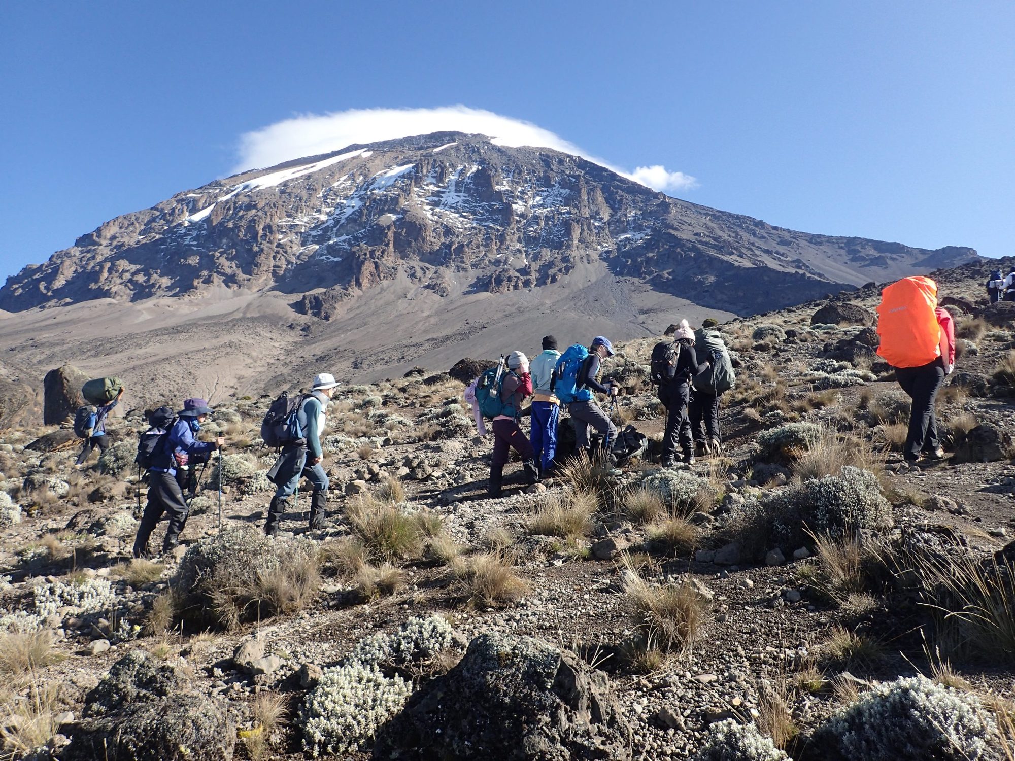 11 Days Kilimanjaro Trekking and Tanzania Wildlife Safari
