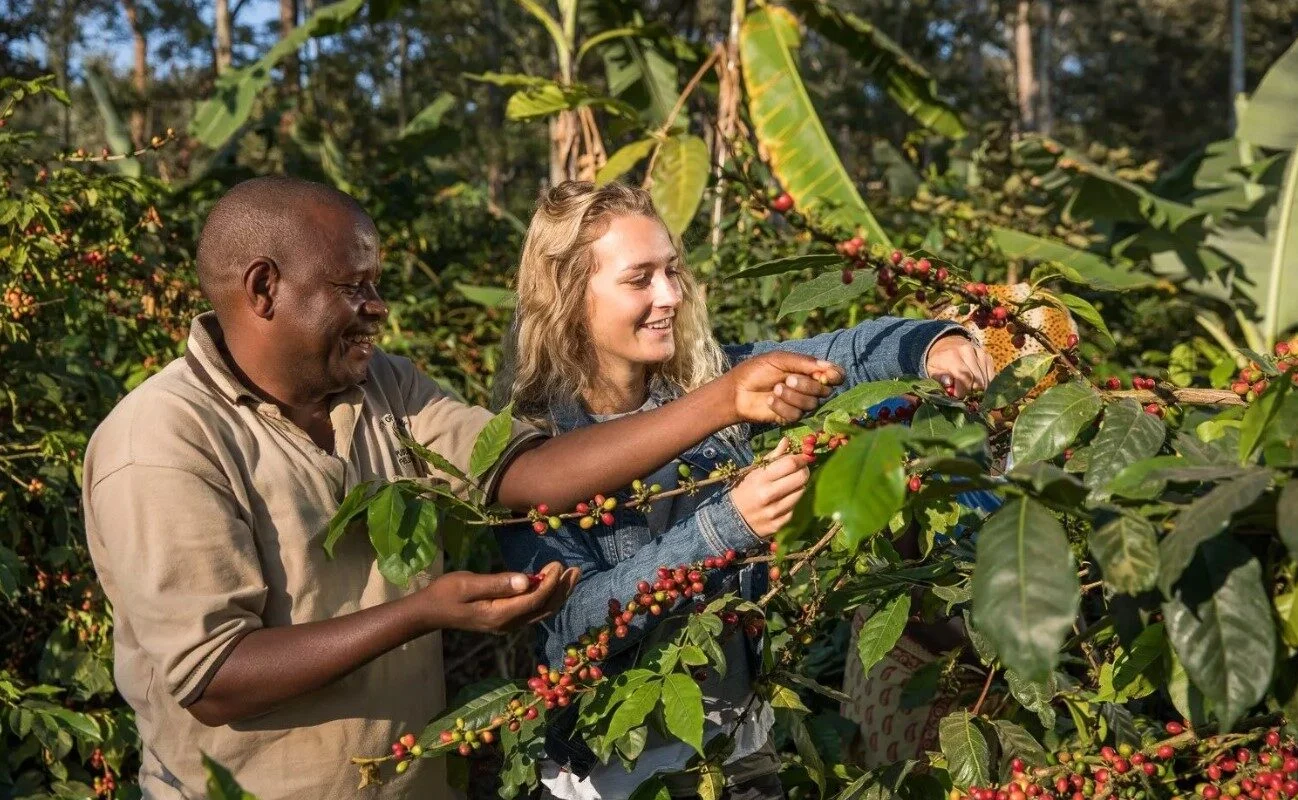 Coffee Tour