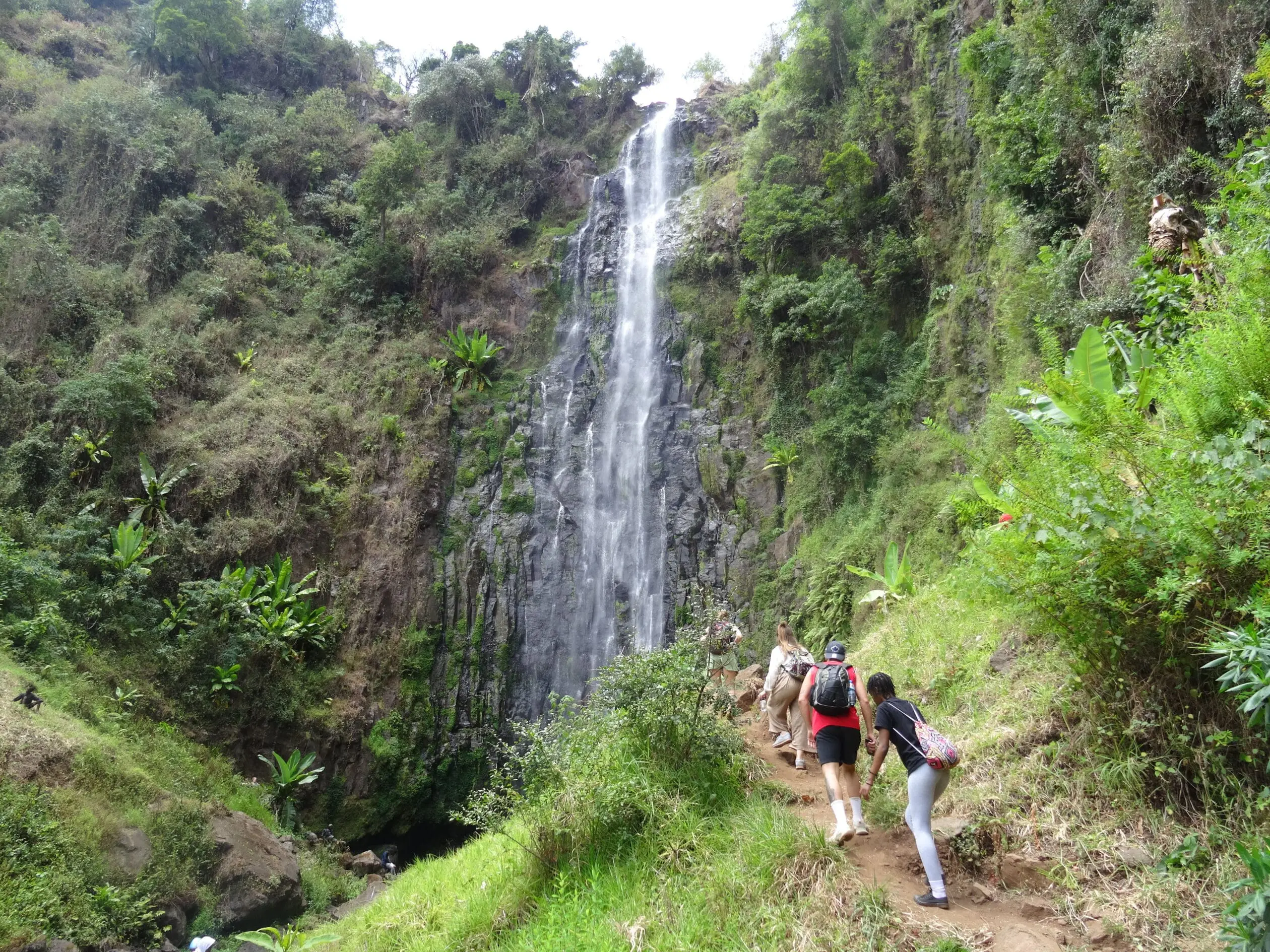 Waterfalls Hike