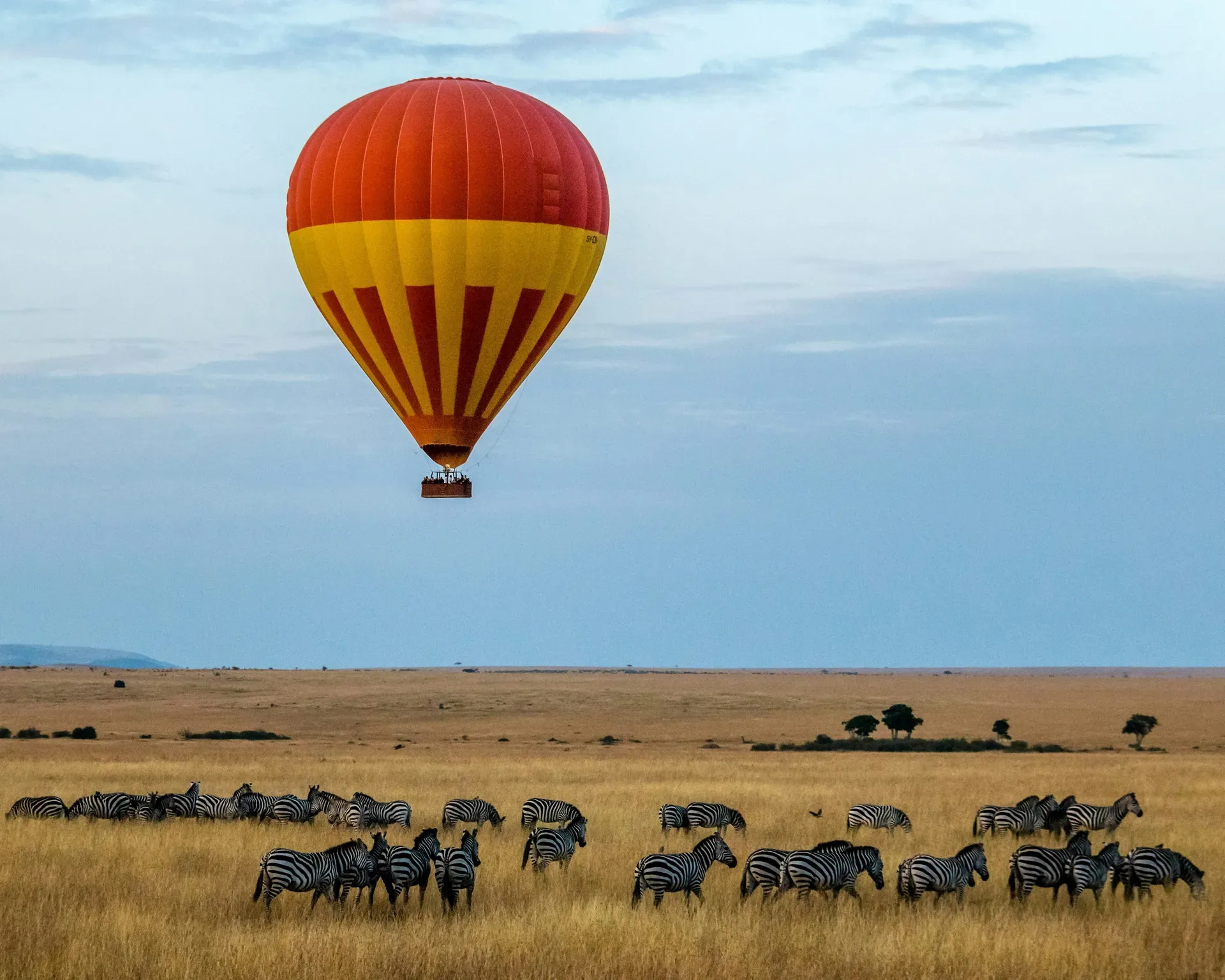 Tanzania safari landscape