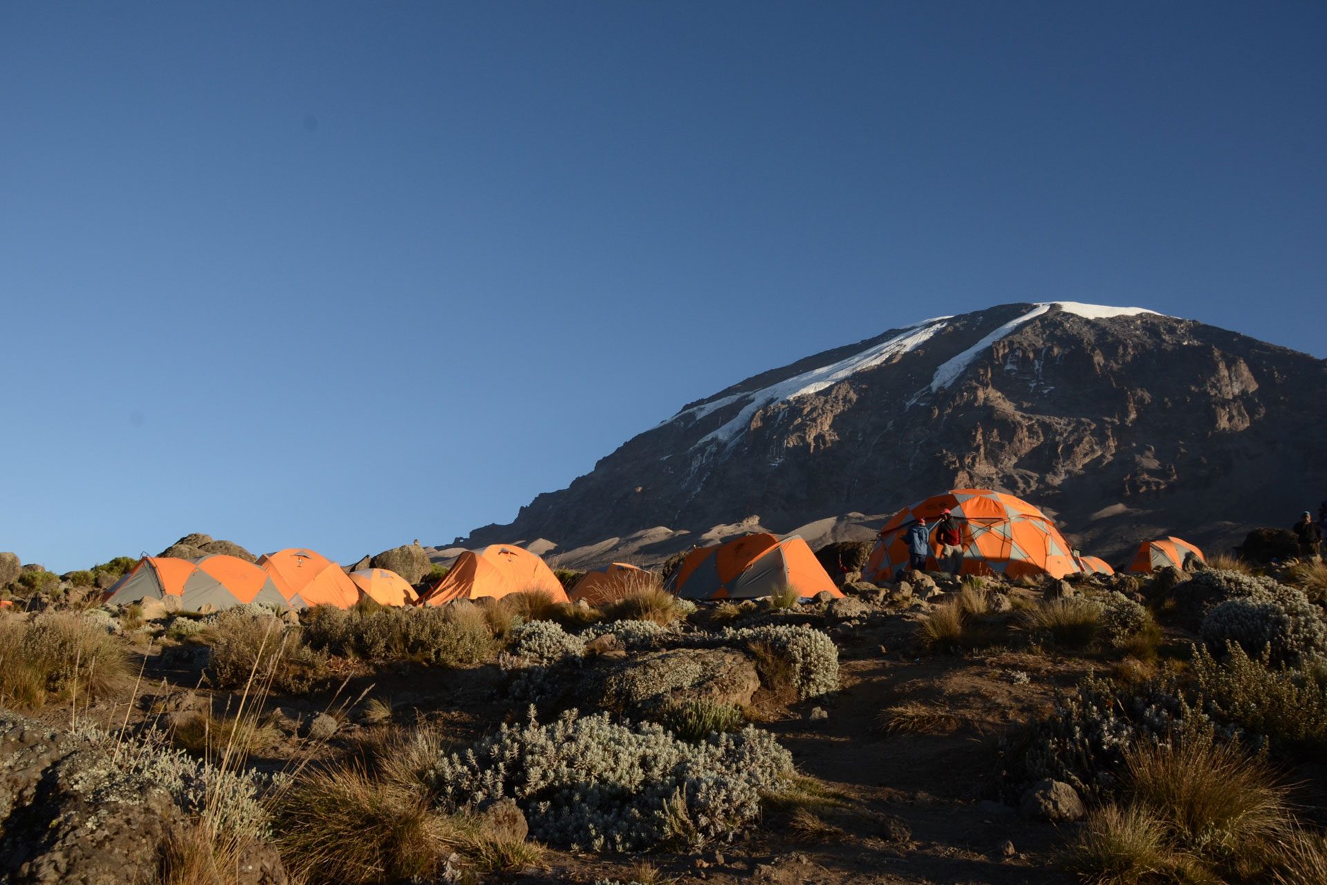 Climb Kilimanjaro & Mount Meru