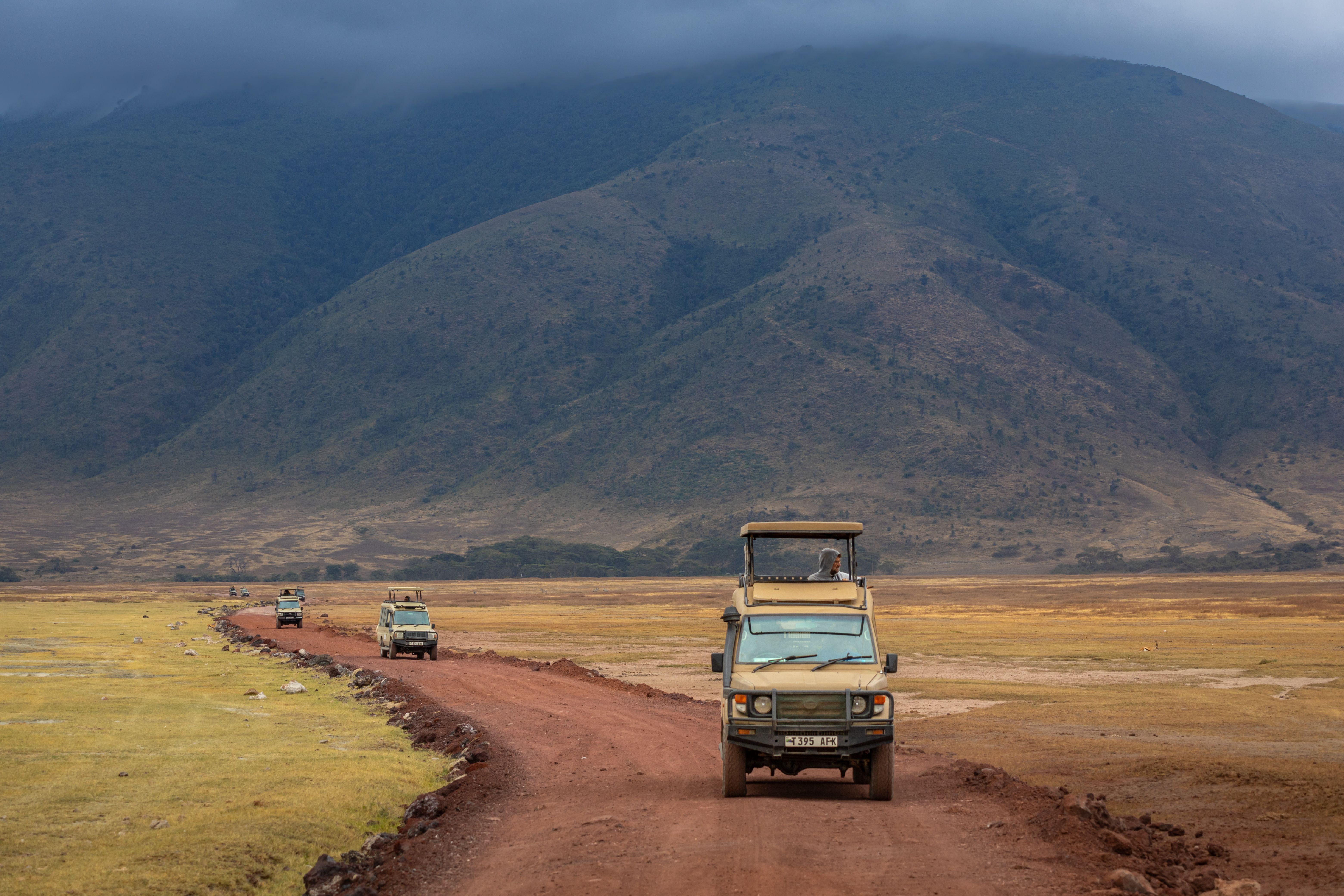 Ngorongoro