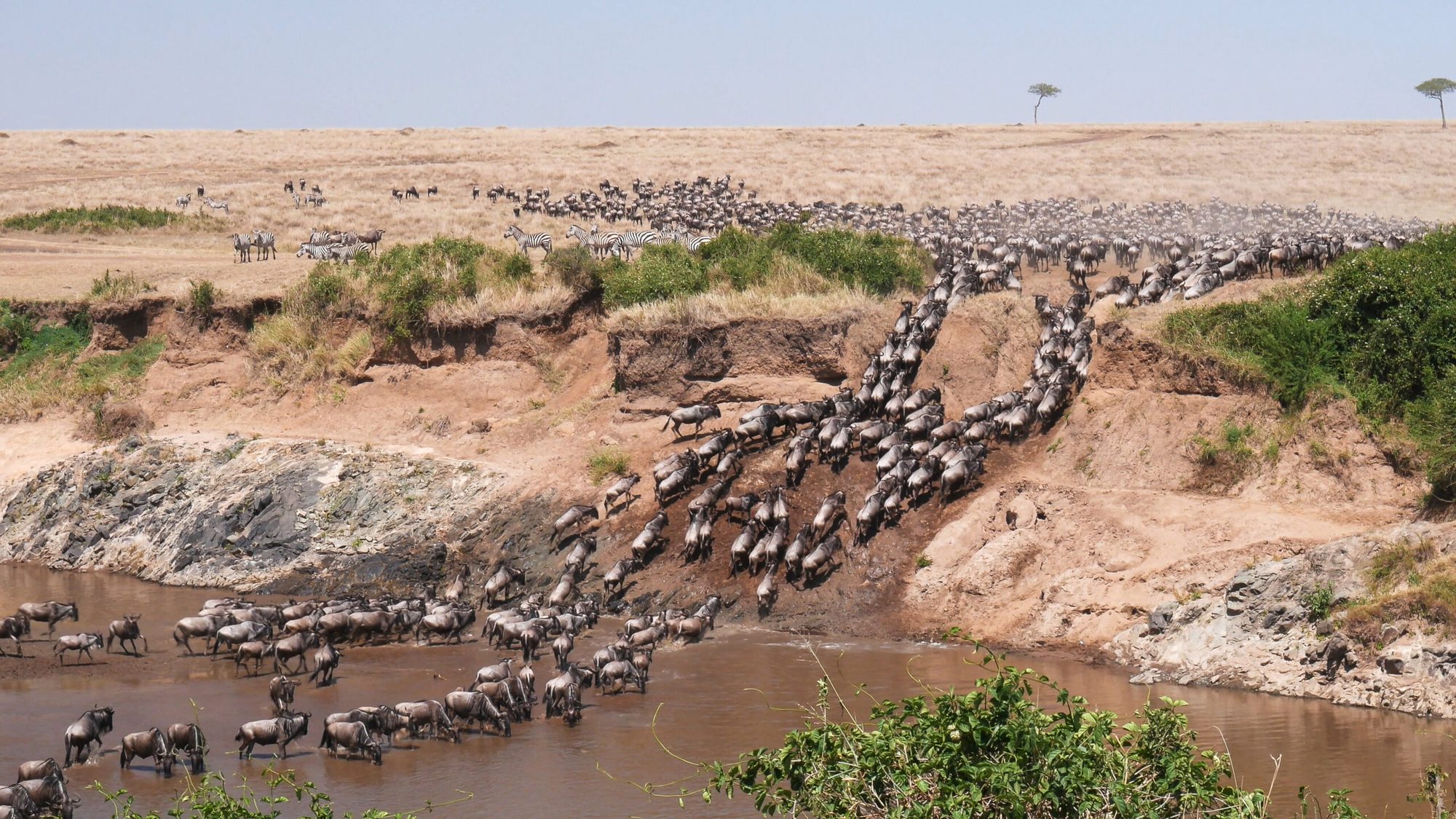 Serengeti